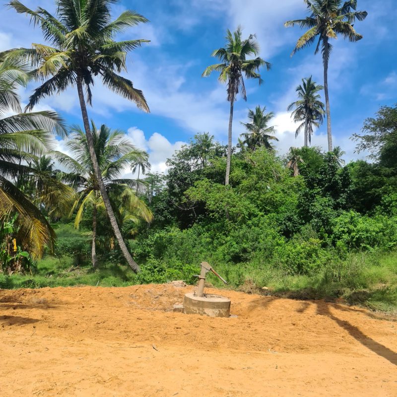 20220413_102534 20220413_102534